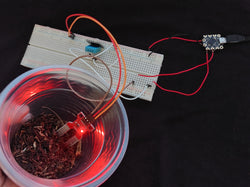 Mini Greenhouse Set-up using Arduino Beetle (Temperature, Humidity, and Soil Moisture)