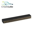 Female Pin Header Straight Double Row, 2.54mm pitch