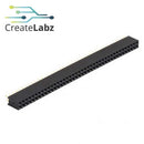 Female Pin Header Straight Double Row, 2.54mm pitch